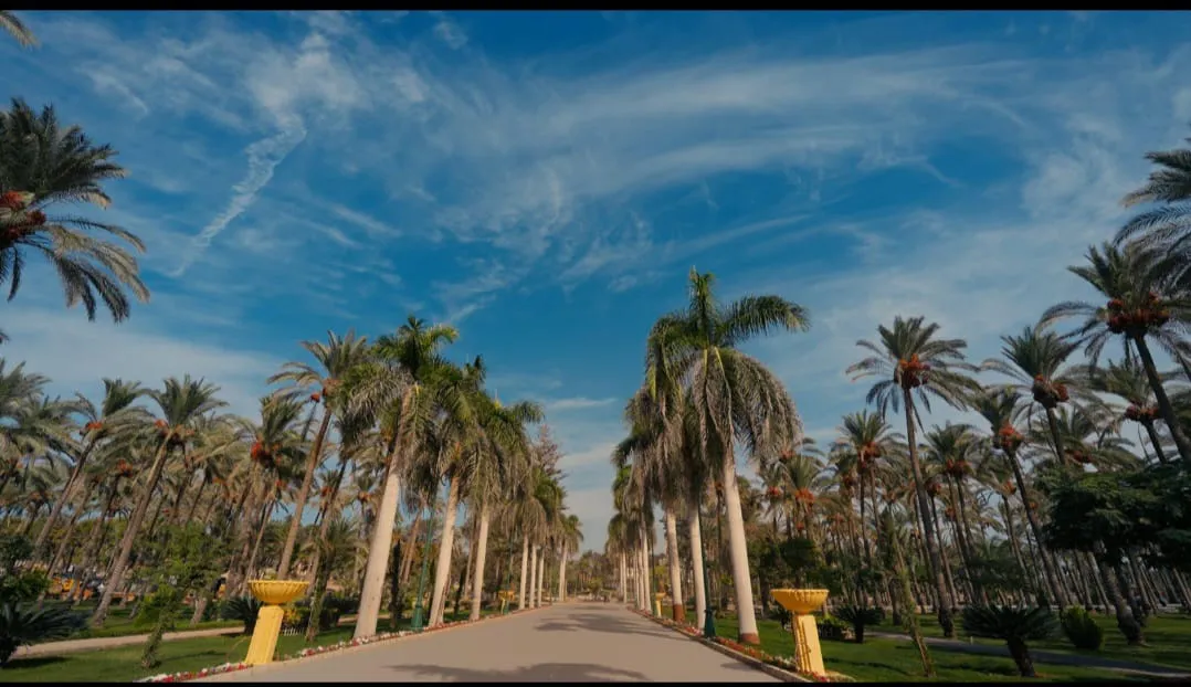 Montaza palace garden tour program Discover the royal beauty of Alexandria /IMG-20260701-WA0016.jpg